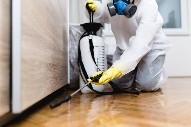 Best Exterminator Services  in Germantown Hls, IL