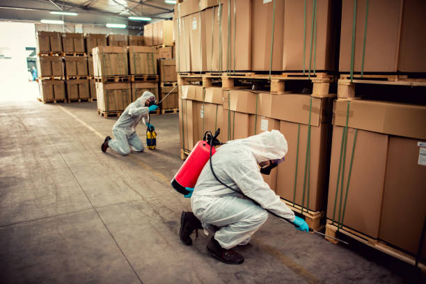 Best Cockroach Control Services  in Germantown Hls, IL