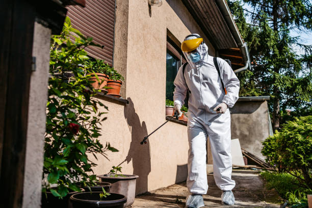 Wasp Removal Services in Germantown Hills, IL