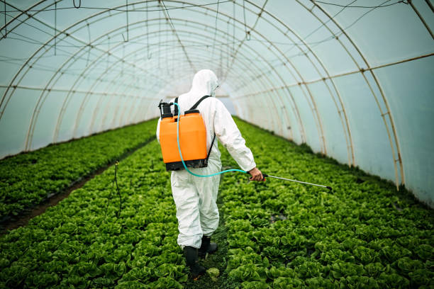 Professional Pest Control in Germantown Hills, IL