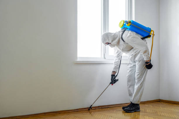 Best Commercial Pest Control Services  in Germantown Hls, IL
